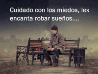 /album/fotogaleria/a556960-10200413878286239-497052380-n-jpg1/