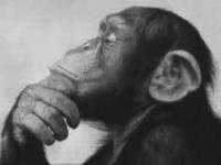 /album/fotogaleria/mono-jpeg1/