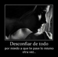 /album/imagenes/a426487-10200474492721562-2001113024-n-jpg/